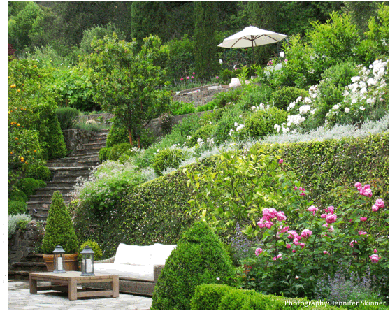 Garden Image 11