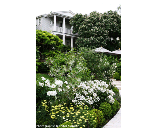Garden Image 12