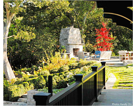 Garden Image 13
