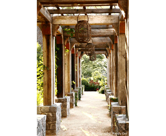 Garden Image 14