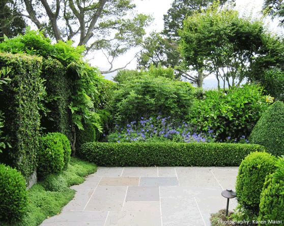 Garden Image 16