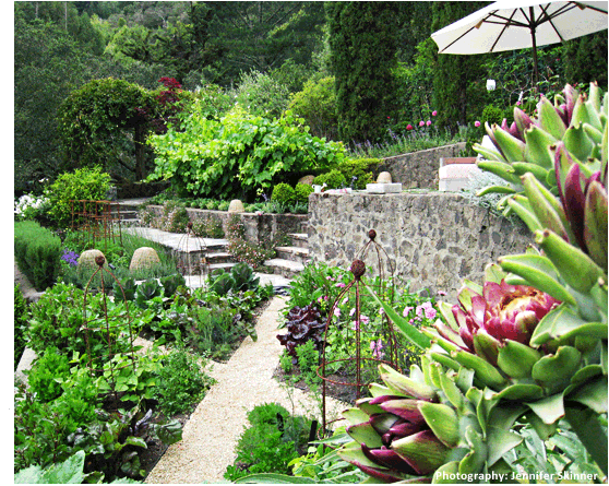 Garden Image 17