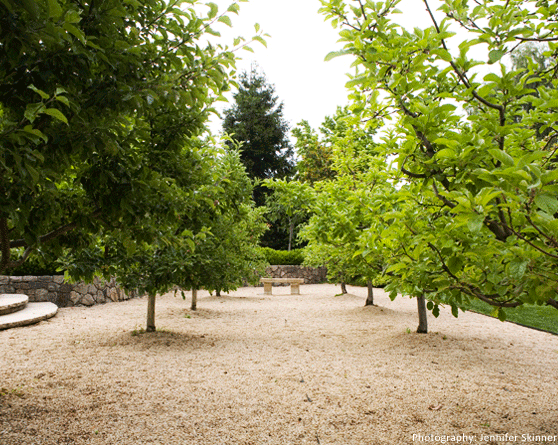 Garden Image 18