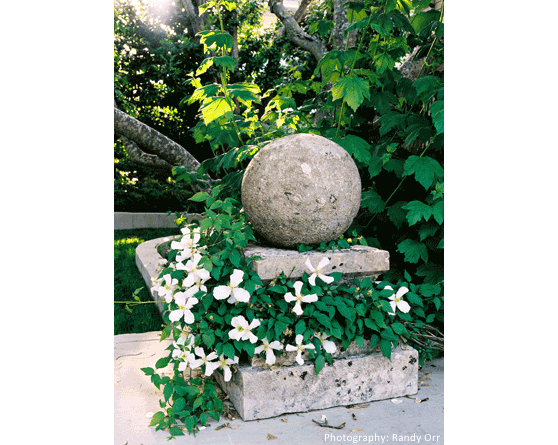 Garden Image 20