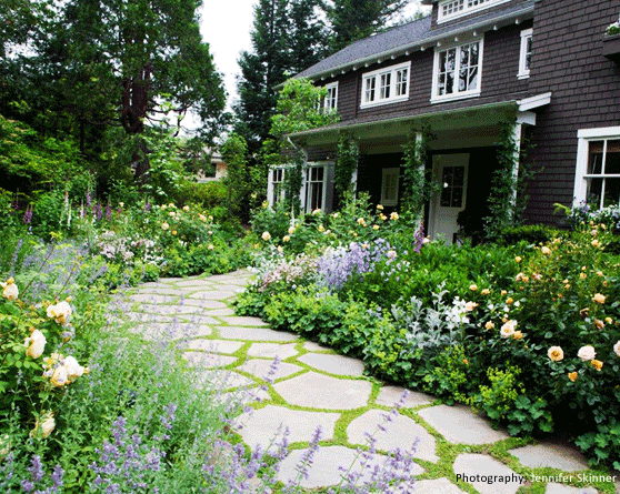 Garden Image 04