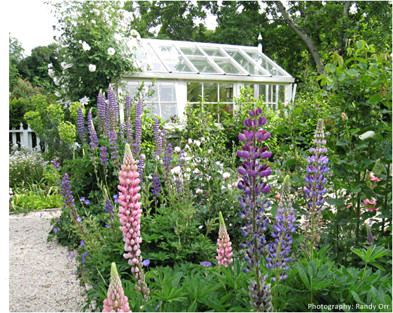 Garden Image 06