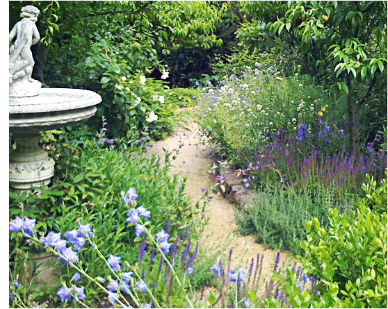 Garden Image 07