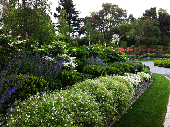 Garden Image 08