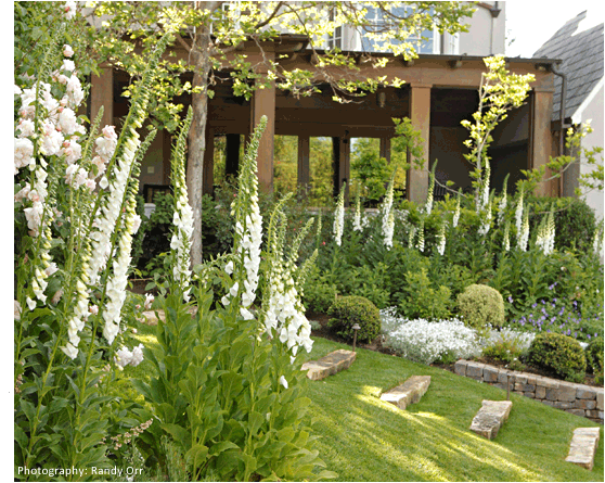 Garden Image 09